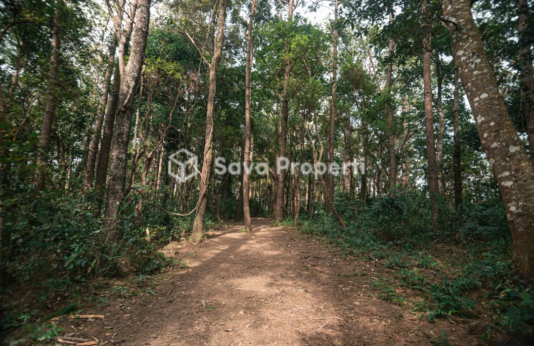 Tanah murah di cempaka putih